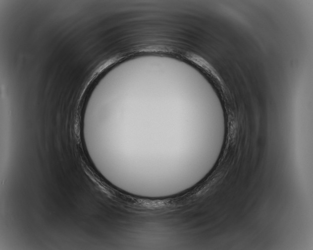 X0000086800882200704130858