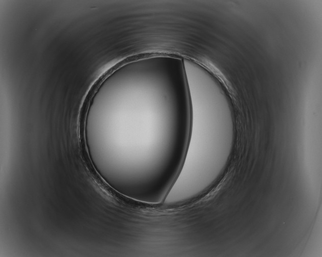 X0000086800884200704130858