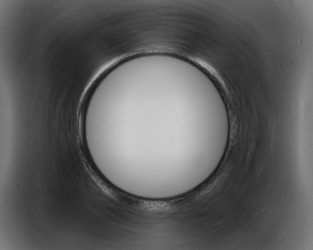 X0000086800886200704130858