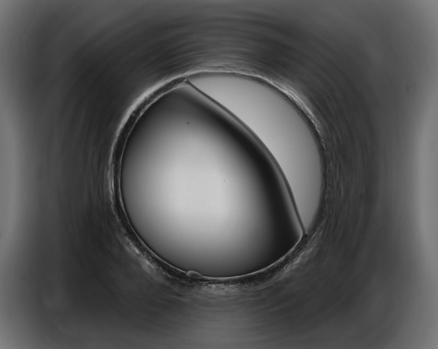 X0000086800888200704130858