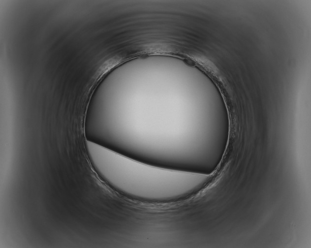 X0000086800889200704130858