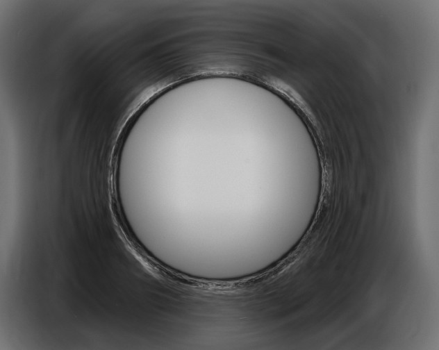 X0000086800890200704130858