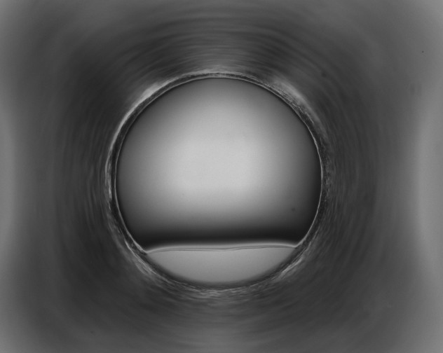 X0000086800892200704130858