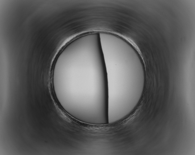 X0000086800895200704130858