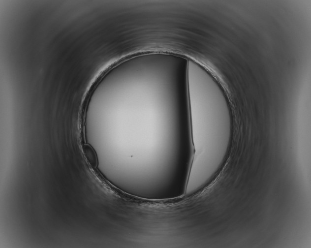 X0000086800896200704130858