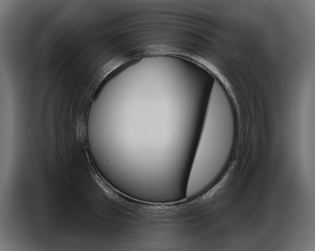 X0000086800897200704130858