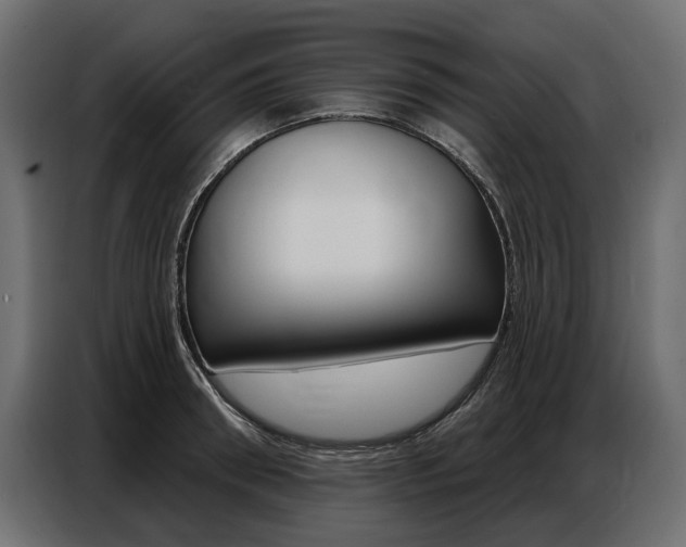 X0000086800898200704130858