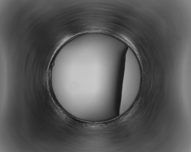 X0000086800899200704130858