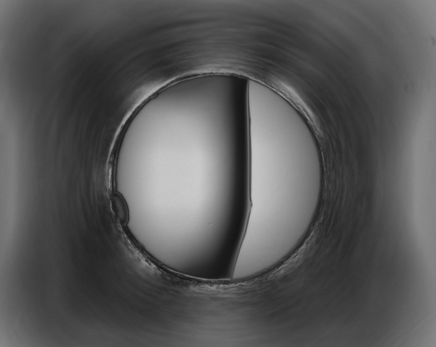 X0000086800900200704130858