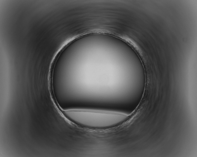 X0000086800902200704130858