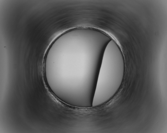 X0000086800903200704130858