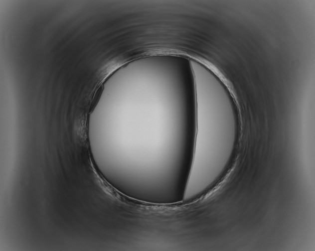 X0000086800905200704130858