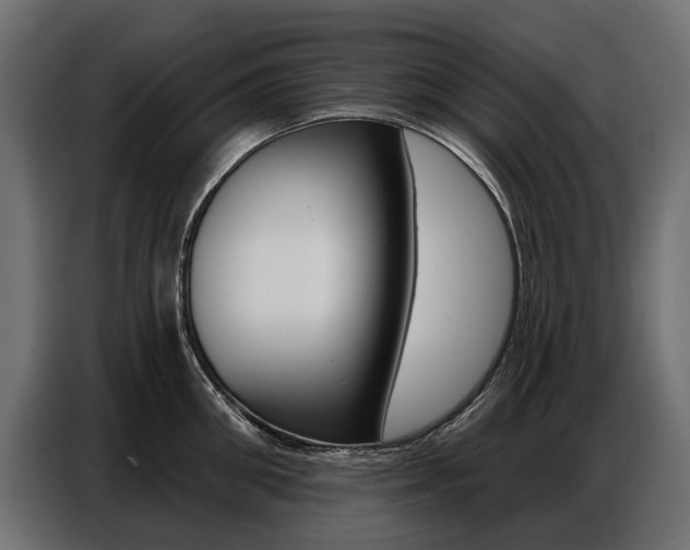 X0000086800906200704130858
