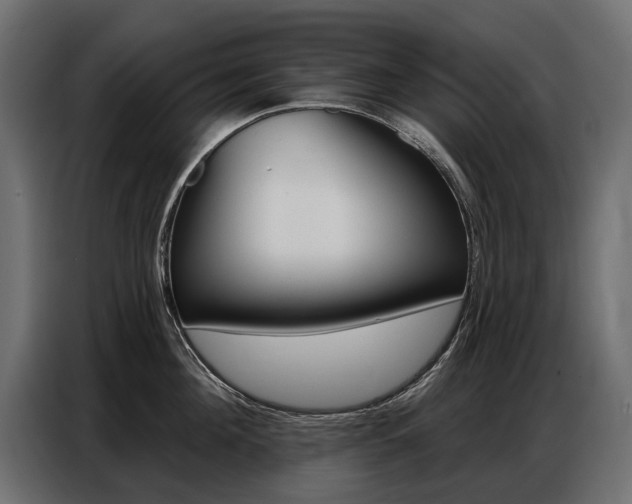 X0000086800908200704130858
