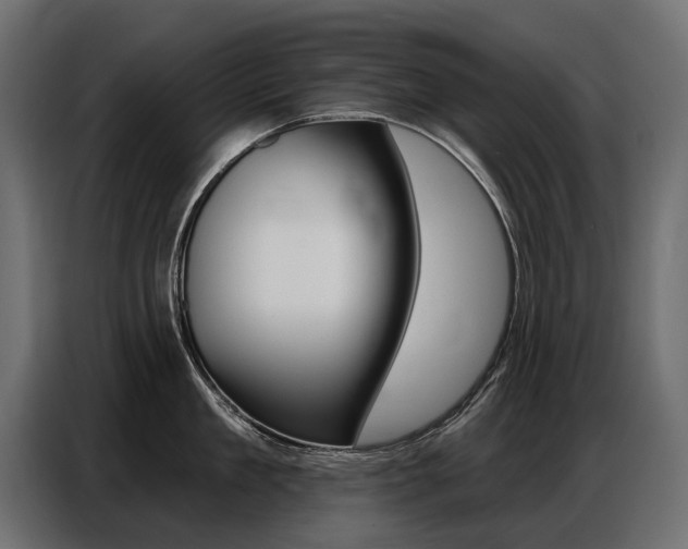 X0000086800909200704130858