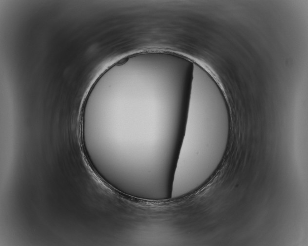 X0000086800911200704130858