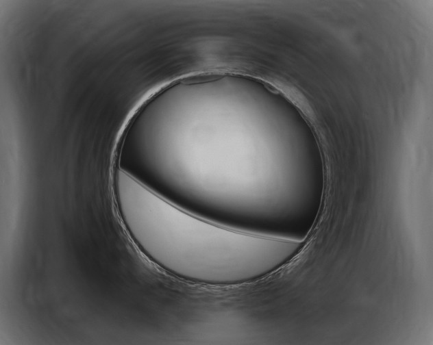 X0000086800912200704130858