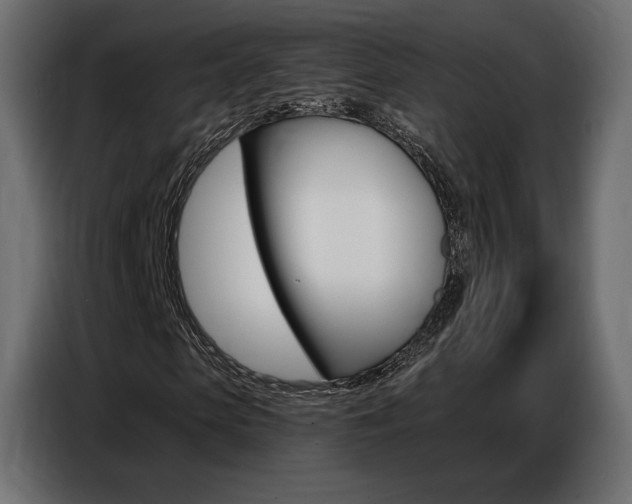 X0000086800913200704130857