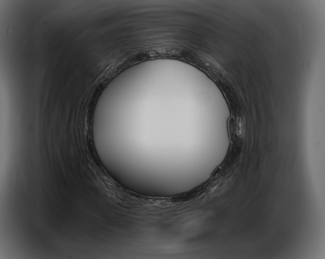 X0000086800915200704130857