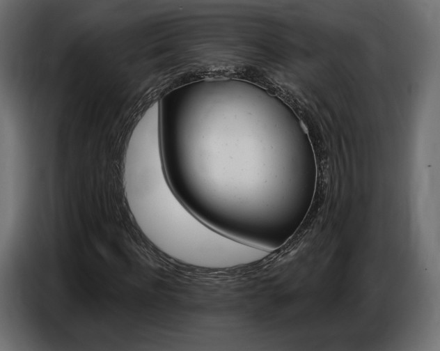 X0000086800916200704130857