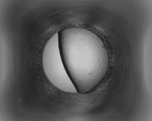 X0000086800917200704130857