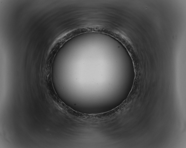X0000086800920200704130857