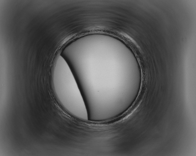 X0000086800921200704130857