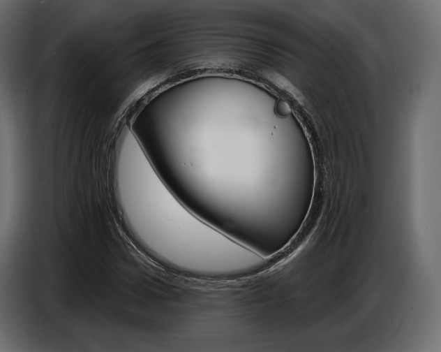 X0000086800922200704130857