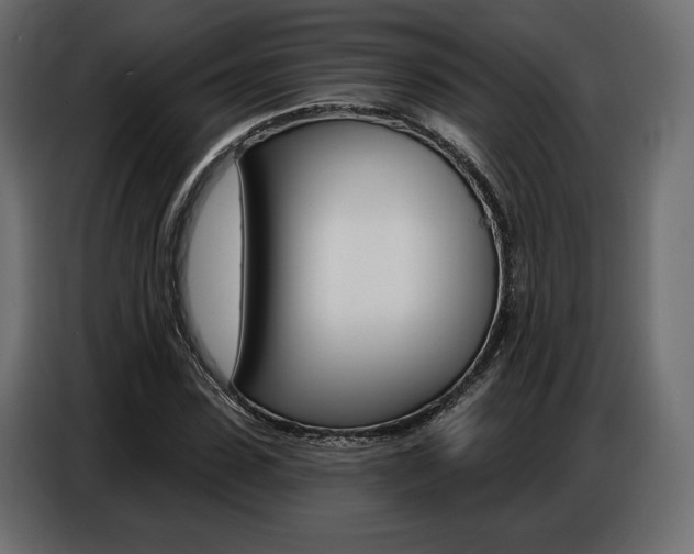 X0000086800923200704130857