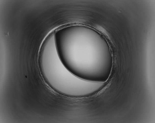 X0000086800924200704130857