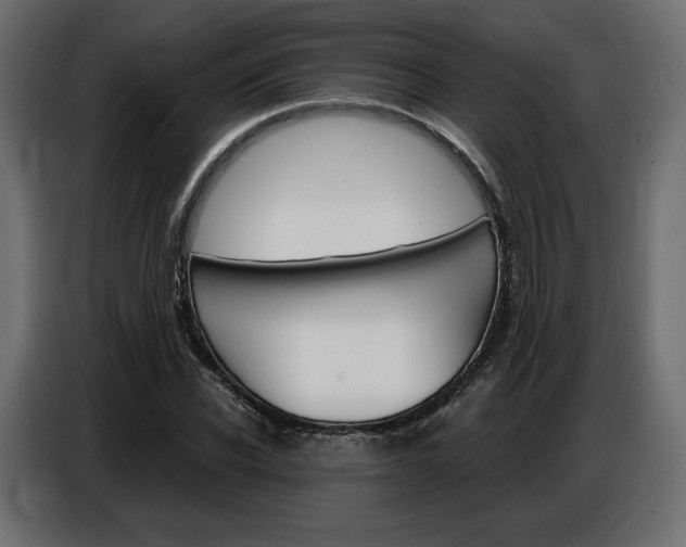 X0000086800926200704130857