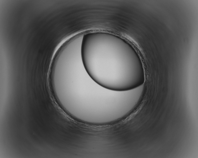 X0000086800928200704130857