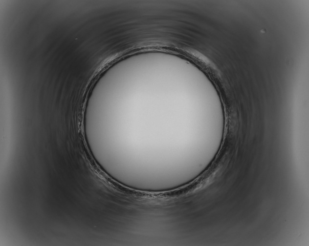 X0000086800929200704130857