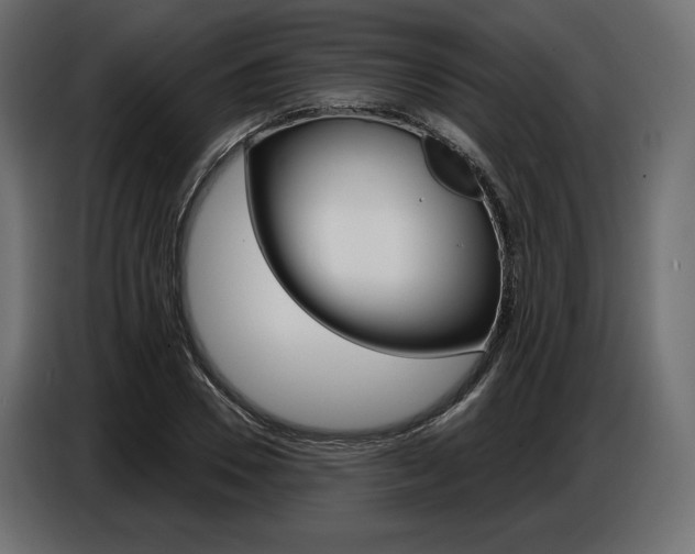 X0000086800930200704130857