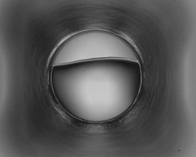 X0000086800931200704130857