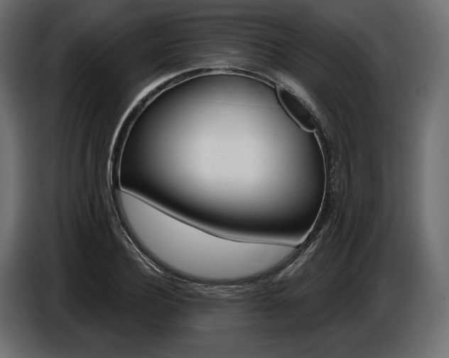 X0000086800932200704130857