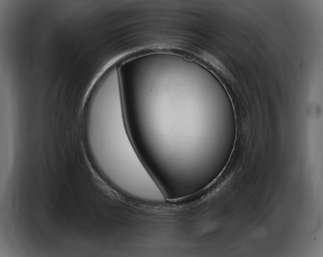 X0000086800934200704130857