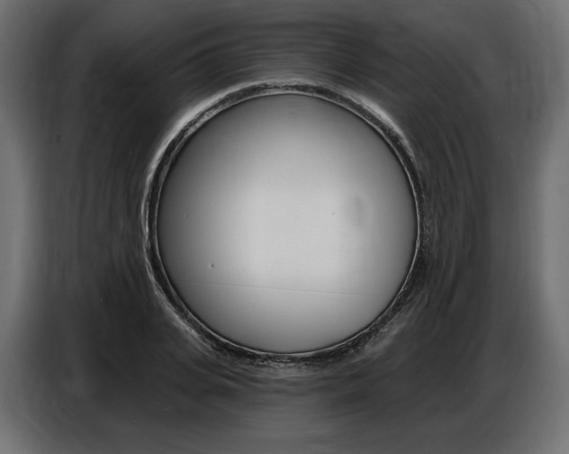 X0000086800935200704130857