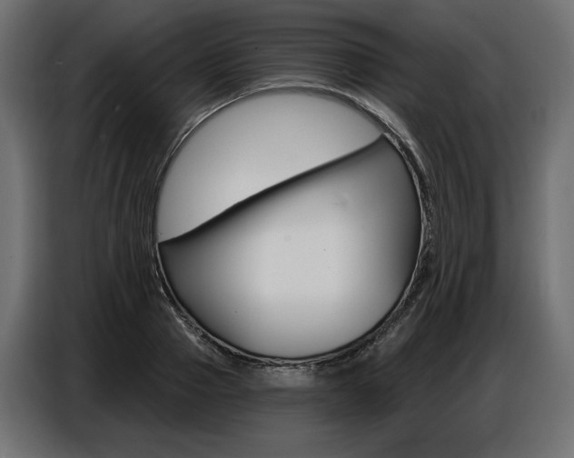 X0000086800937200704130857