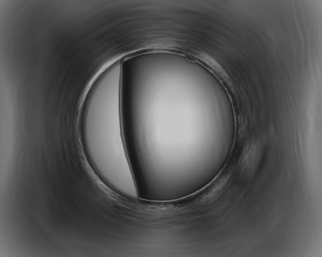 X0000086800939200704130857