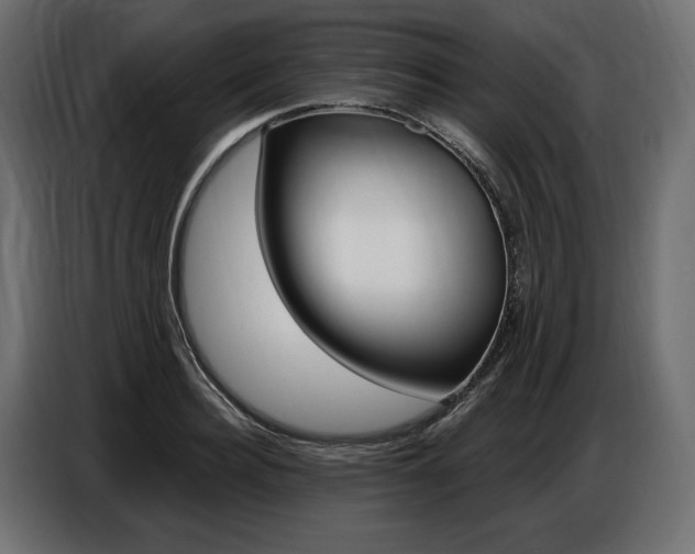 X0000086800940200704130857