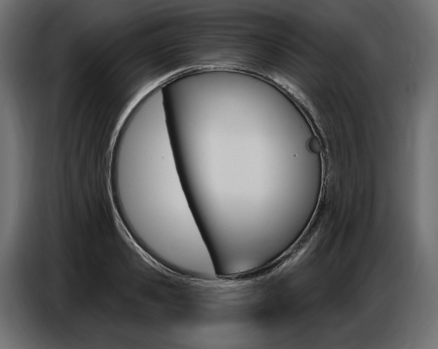 X0000086800941200704130857