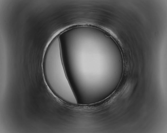 X0000086800943200704130857