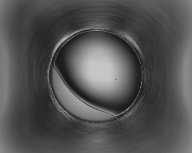 X0000086800944200704130857