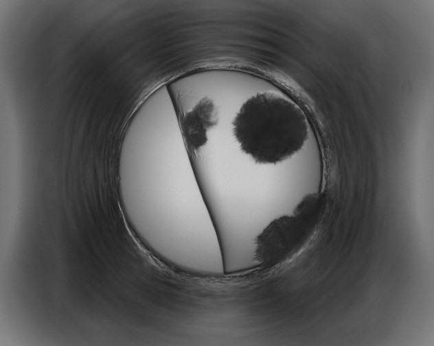 X0000086800945200704130857