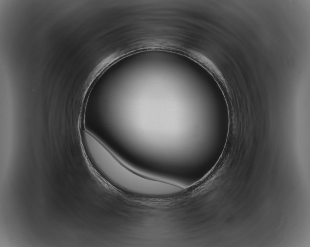 X0000086800946200704130857