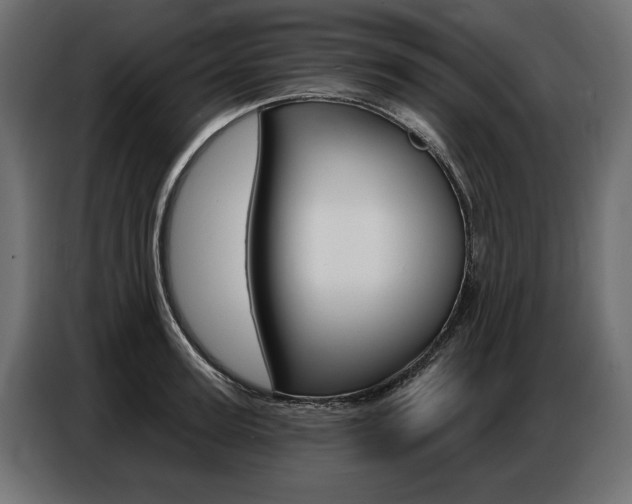 X0000086800947200704130857