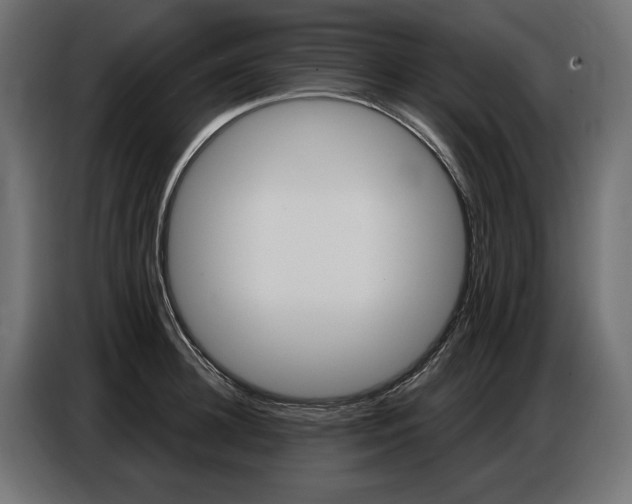 X0000086800948200704130857