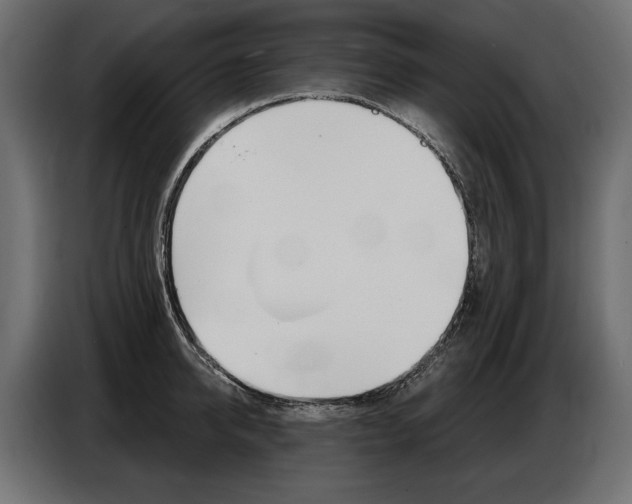 X0000086800950200704130857