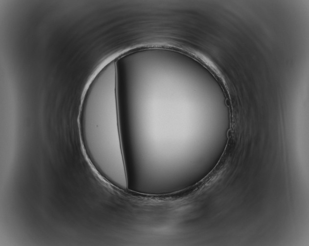 X0000086800951200704130857